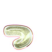 052