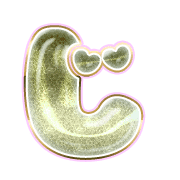 062