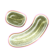 126