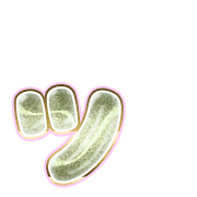 132