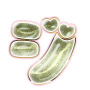 142