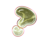 226