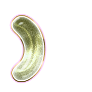 235