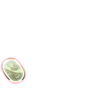 256