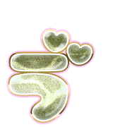 267