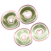 280