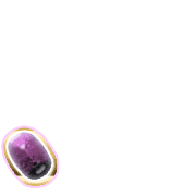 256