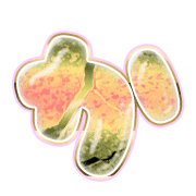006
