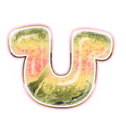 027