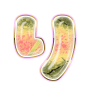 040