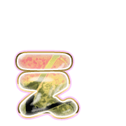 050