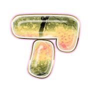 081