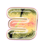 118