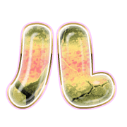 121