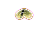 231