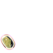 256