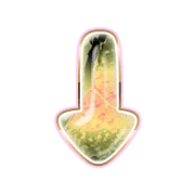 261