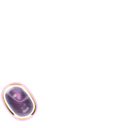 256