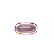 251