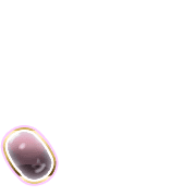 256