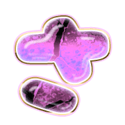 011