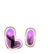 048