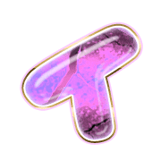 082