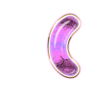 234