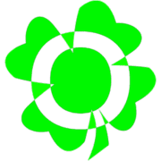 176