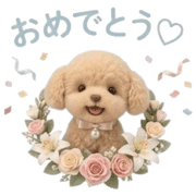 005