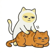 033
