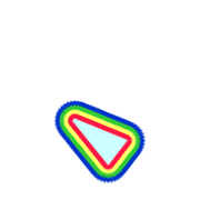 256