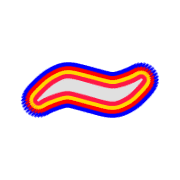 224