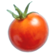 019