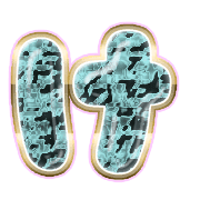 009