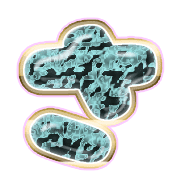 011