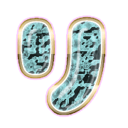 120