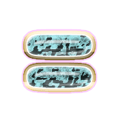 239