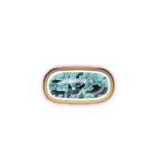 251