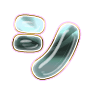 092