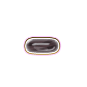 251