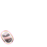 256