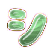 092