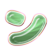 126