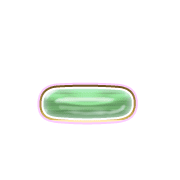 161