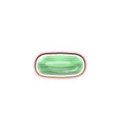 251