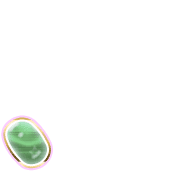 256