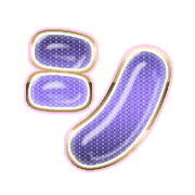092