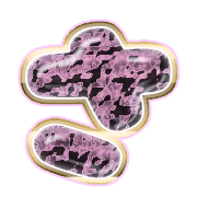 011
