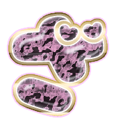 061